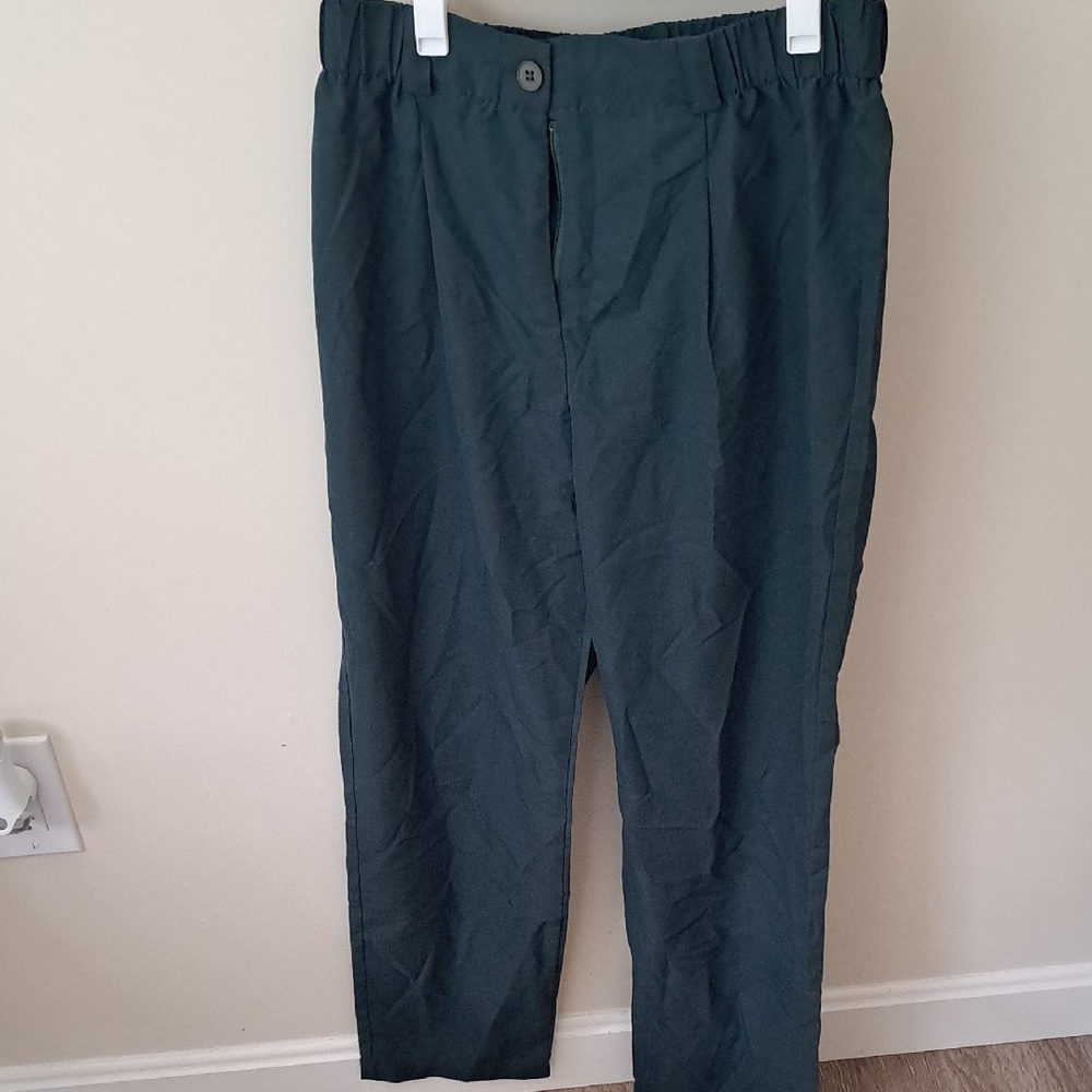 SHEIN Dark Green Professional Pants